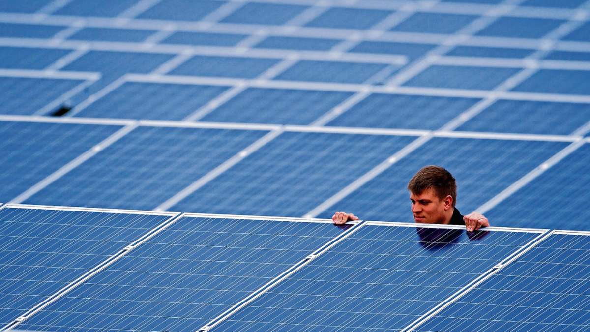 Wirtschaft: Fast zwei Drittel des Stroms aus erneuerbaren Energien