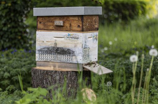 Mit den Rathäusern der vier Oberzentrums-Städte  ist die Bienenbeute versehen, in die nun auch in Schleusingen die fleißigen Sammler eingezogen sind. Foto: Steffen Ittig