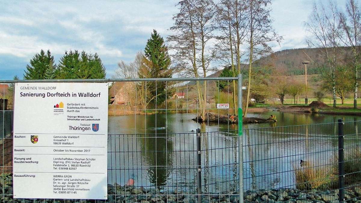 Walldorf: Sauerstoffkur für den Dorfteich