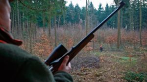 Entwurf für neues Jagdgesetz: Jagen nur noch ohne Blei