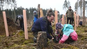 Nonnenholz hat Zukunft: Menschen pflanzen in Rieth einen Wald