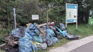 Anderthalb Tonnen Müll in Ilmenau gesammelt