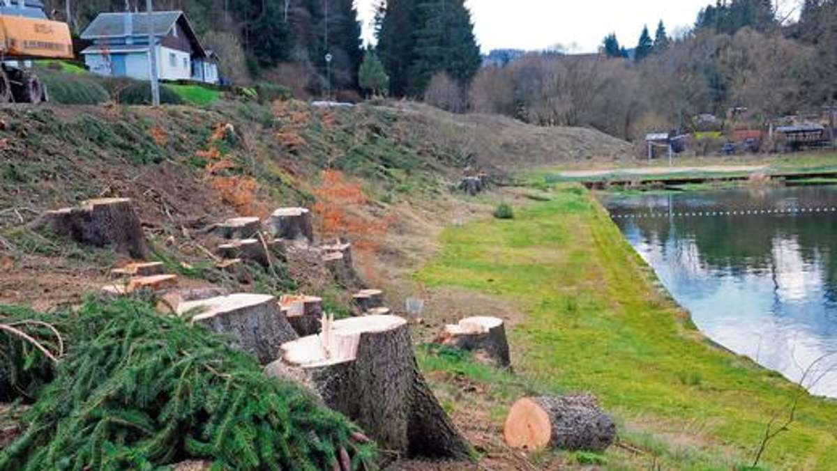 Ilmenau: Baumfällung am Naturbad sorgt für Empörung