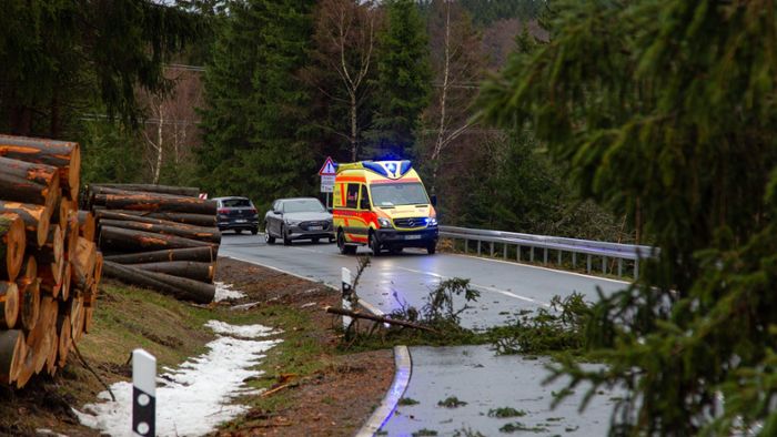 Baum stürzt auf Auto – Fahrer wird leicht verletzt