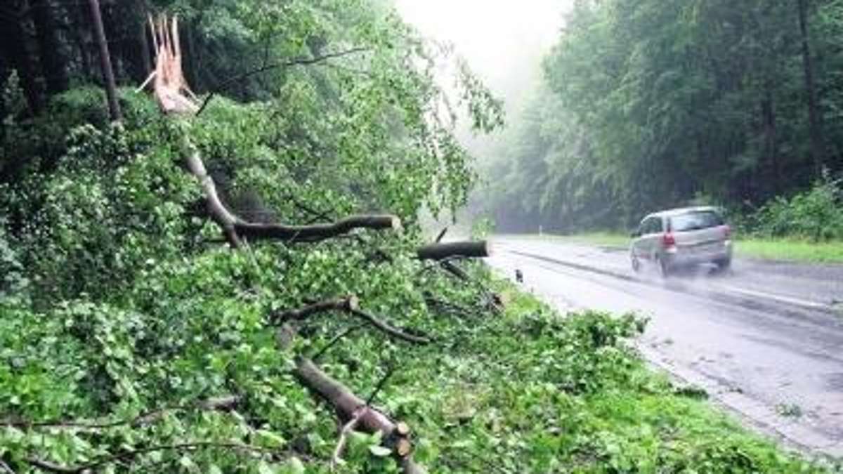 Thüringen: Baum kracht auf Auto; Fahrerin hat Schutzengel an Bord