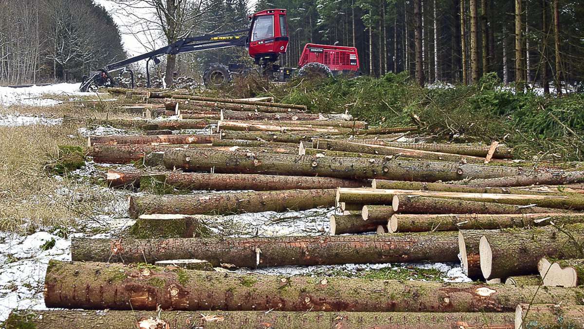 Straufhain: Wald: Das war’s mit dem Überschuss