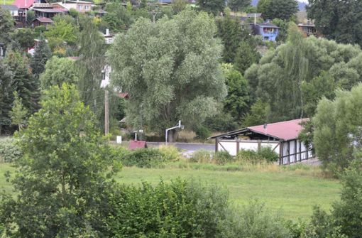 Am Ortsrand von Wildprechtroda soll ein Wohngebiet erschlossen werden. Foto:  