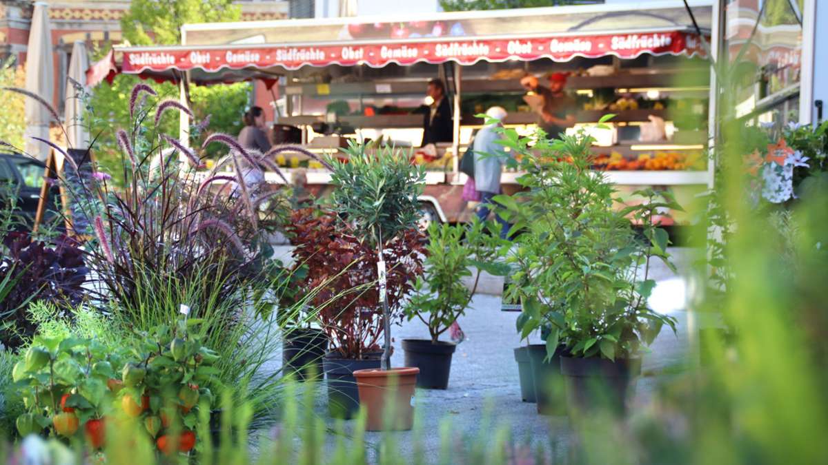 Freizeit in Sonneberg: Grünmarkt wartet jetzt auf die Pendler