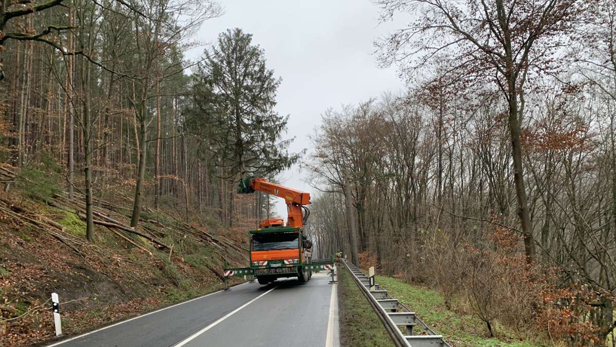 Fällarbeiten bei Helmers: Bäume schweben über der „Hessengrenze“