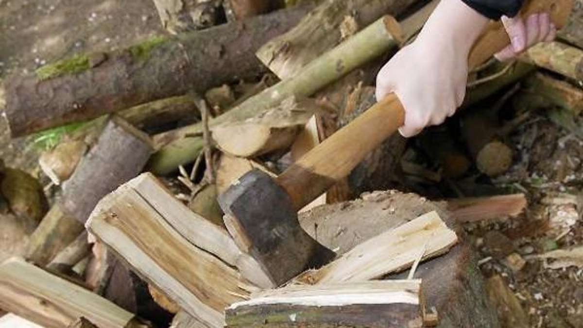 Wirtschaft: Nach mildem Winter viel Brennholz übrig