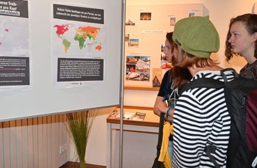 In der Touristinformation, wo die Ausstellung eröffnet wurde, sind die 15 Plakate komplett zu sehen. Foto: Recknagel/Annett Recknagel