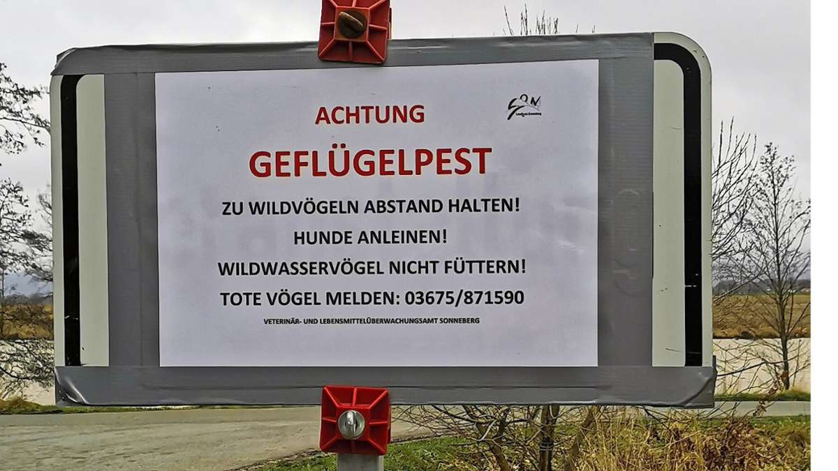 Tierseuche: Vogelgrippe erreicht Landkreis Sonneberg