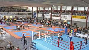 Kickbox-Turnier in Bad Salzungen: Solche Veranstaltungen braucht die Kurstadt