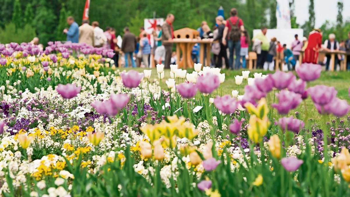 Hildburghausen: Eine Landesgartenschau in Hildburghausen?