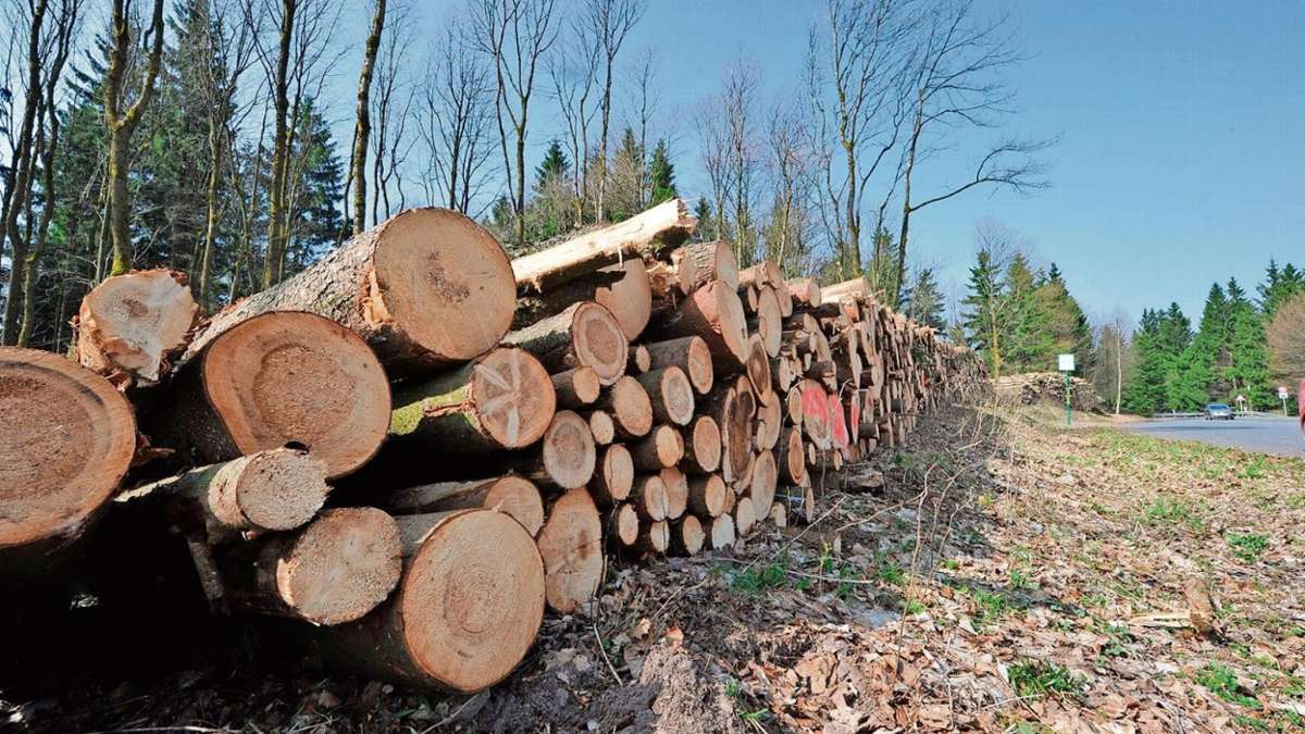 Ritschenhausen: Baumbestand weniger stark betroffen
