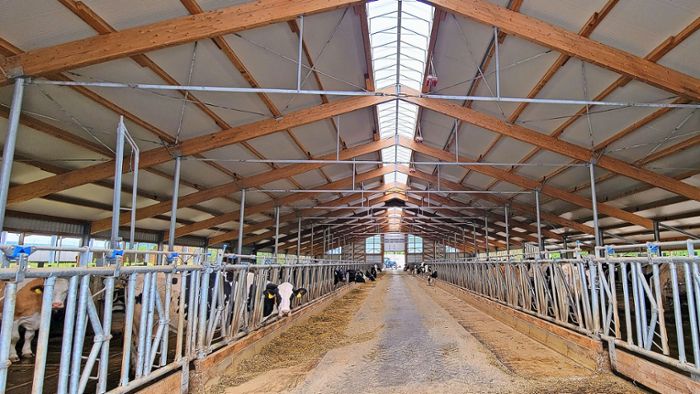 Milchproduktion: Neuer Stall für mehr Tierwohl