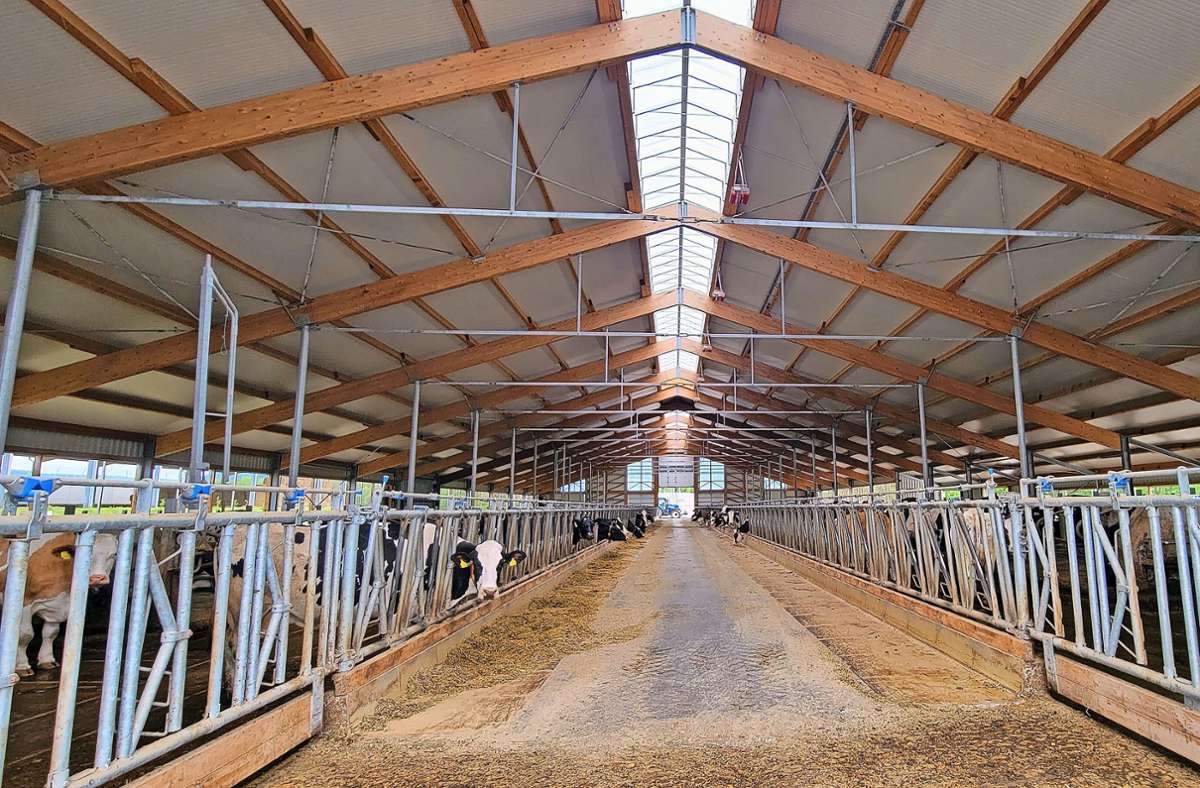 Der neue Stall in Bachfeld setzt auf mehr Tierwohl und gute Bedingungen für die Milchproduktion in der Agrargenossenschaft Schalkau. Foto: Carl-Heinz Zitzmann
