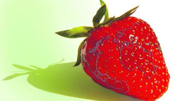 Erdbeeren und anderes Mischobst