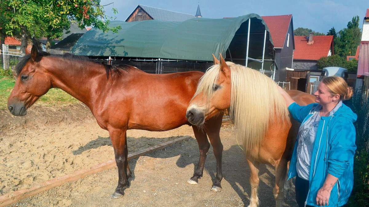Unterpörlitz: Pferde dürfen in Dorfgebieten gehalten werden, aber...!