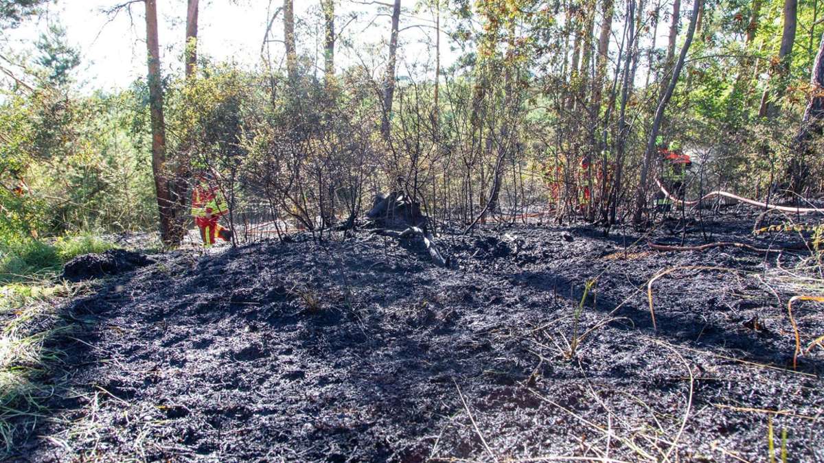 Thüringen: Die Waldbrandgefahr wird tendenziell steigen