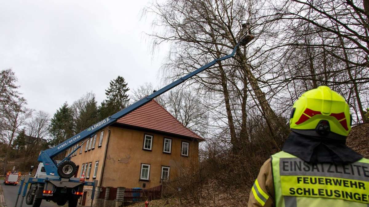 Schleusingen: Baum droht auf Haus in Schleusingen zu stürzen