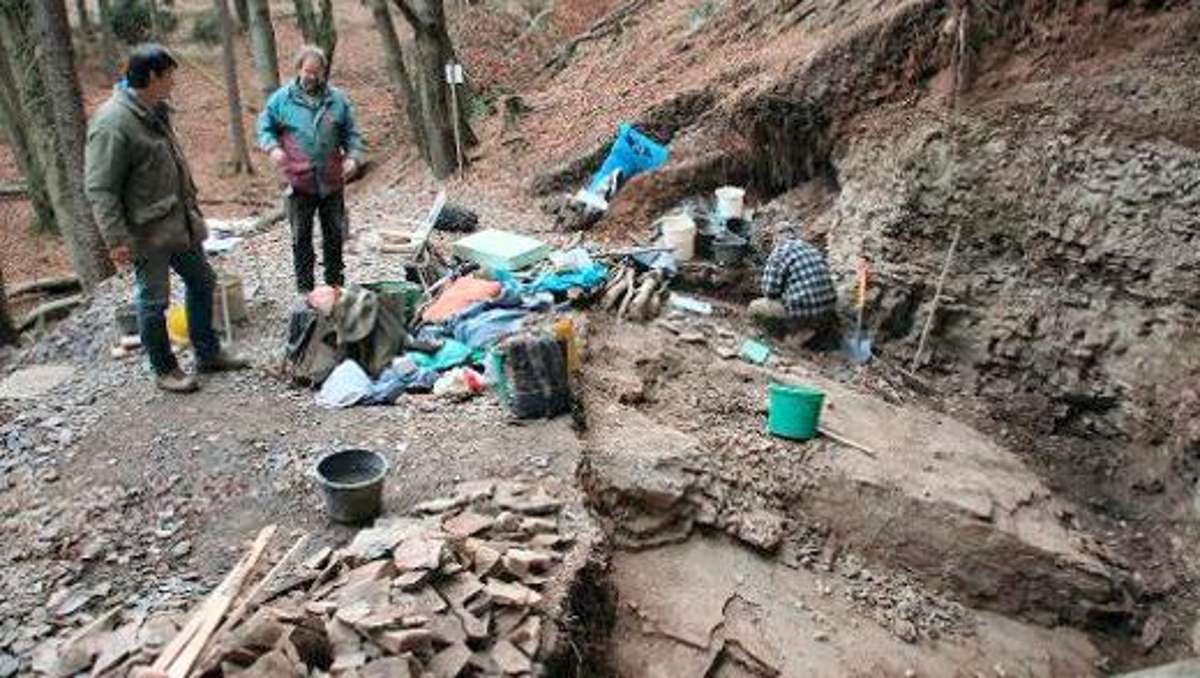 Thüringen: Bei Grabungen am Rennsteig 30 000 Fossilien entdeckt