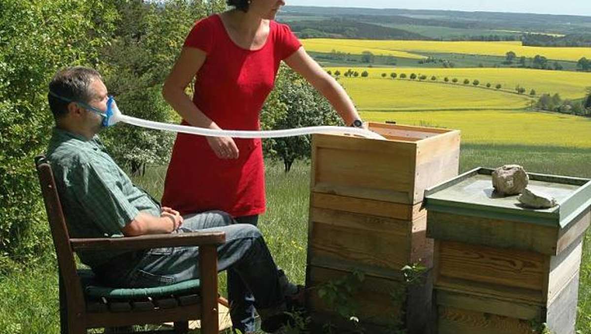 Thüringen: Behörde hebt Verbot von Bienenstockluft-Therapie auf