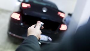 Autos im Wert von rund 170 000 Euro gestohlen