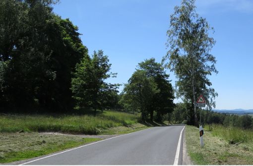 Die Kreisstraßen in Schmalkalden-Meiningen sind in einem überwiegend guten und sehr guten Zustand. Trotzdem gibt es auch im hiesigen Landkreis noch hohen Investitionsbedarf. Foto: Landratsamt/Schmalkalden-Meiningen