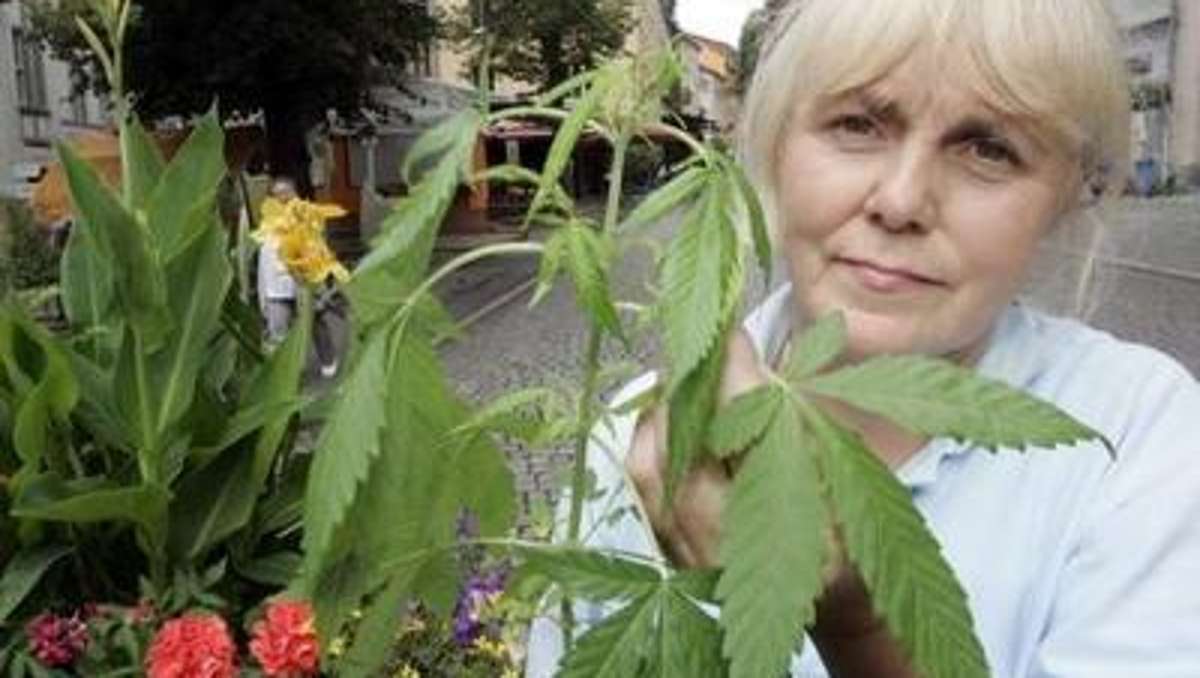 Sonneberg/Neuhaus: Letzte Hoffnung einer Schmerzpatientin auf Cannabis-Freigabe
