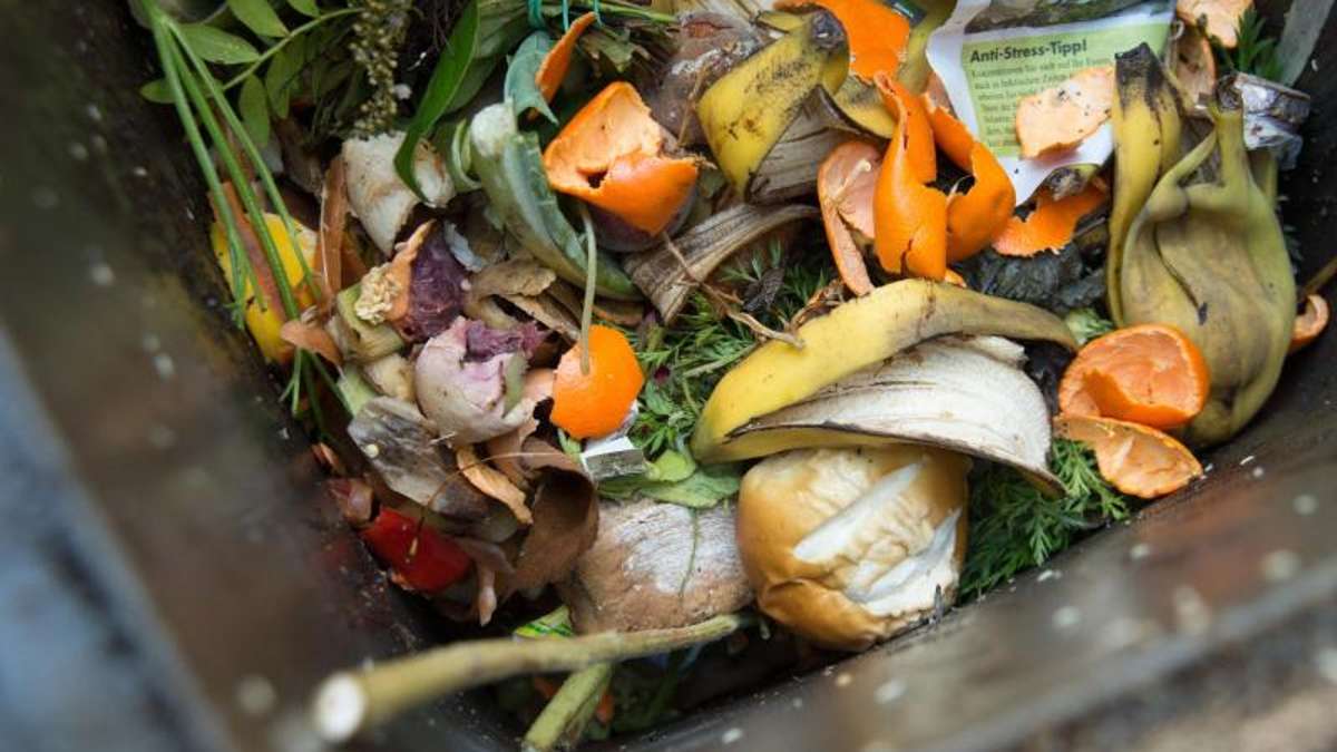 Ilmenau: Termine für Müllentsorgung ändern sich in einigen Orten