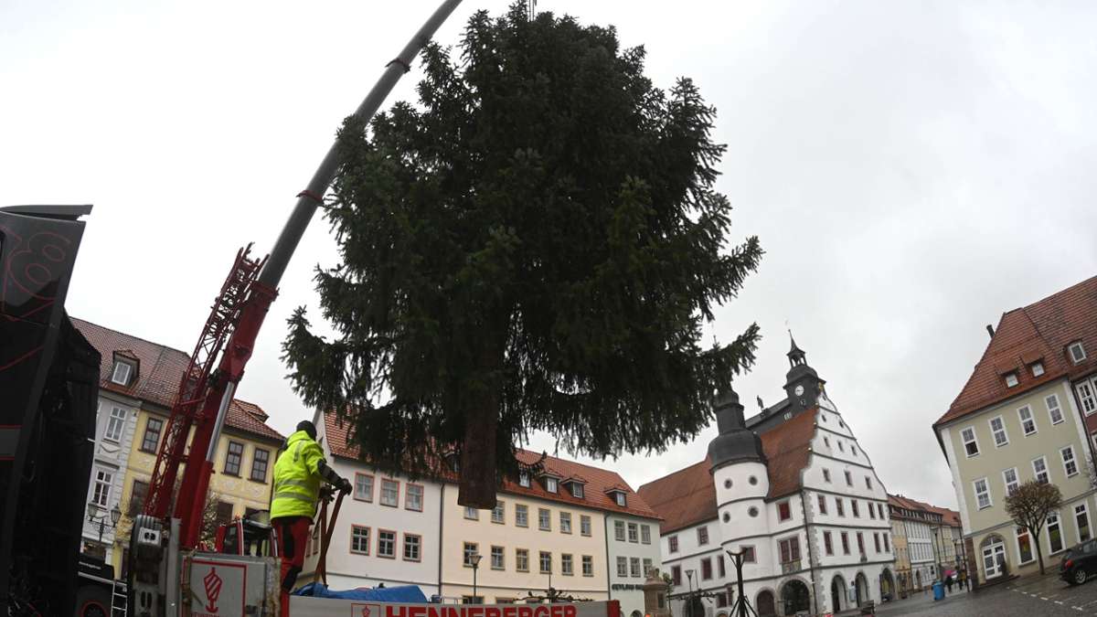 Ein Baum schwebt über den Hildburghäuser Marktplatz – gelenkt von Kranführer Peter Gustermann.