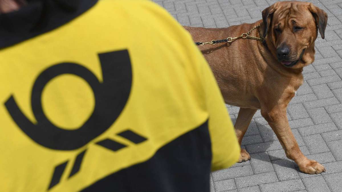 Thüringen: Wenn beim Hund auf dem Hof die Post abgeht