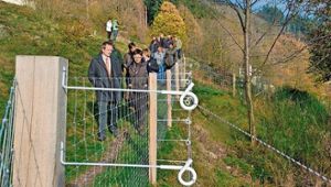 Grünes knabbern für freie Sicht in der Suhler Schweiz