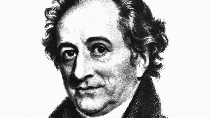 Als sich die Nazis Goethe einverleibten