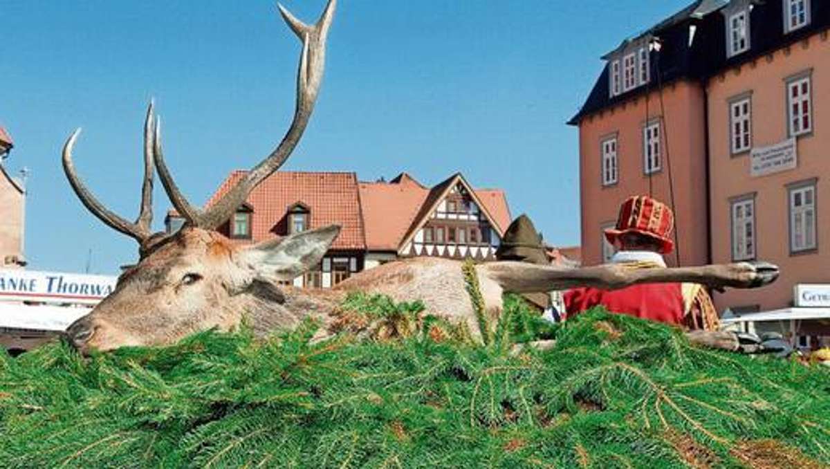 Schmalkalden: Ein feister Hirsch fürs 29. Schmalkaler Stadtfest