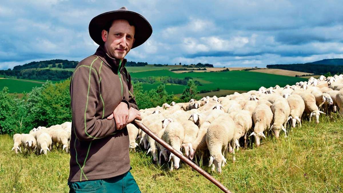 Schafhausen: Schäfer, Hütehunde und Schafe im Wettbewerb