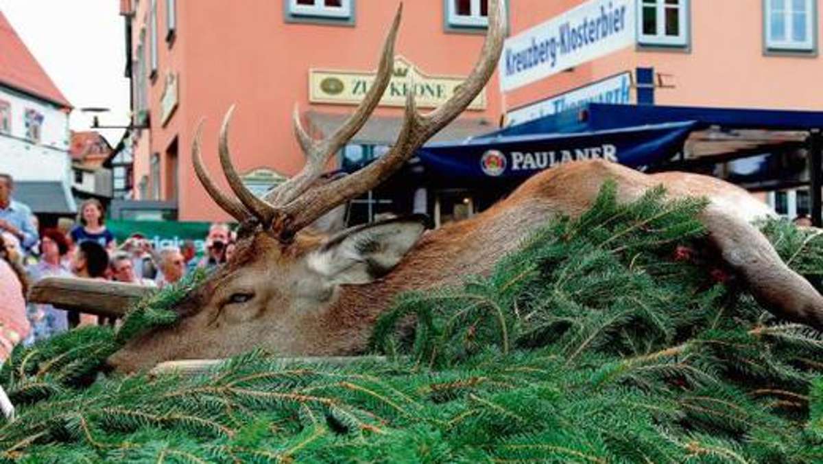 Schmalkalden: Schmalkalden hat einen stattlichen Stadtfest-Hirsch