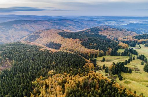 Herbstmomente im Unesco-Biosphärenreservat Thüringer Wald, die in den Wild-Genusswochen auch kulinarisch ausgekostet werden können. Foto: C. Schmid