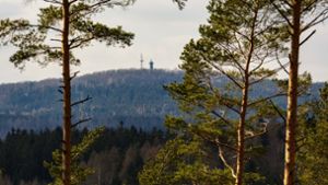 Thüringer Wald: Herzeleid im grünen Herzen